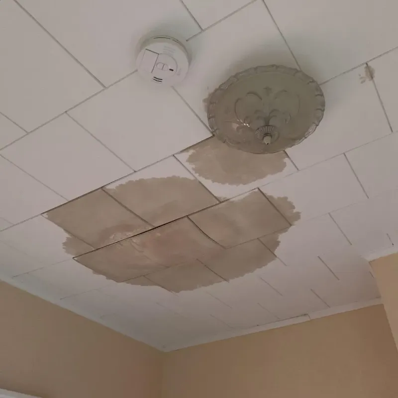 Ceiling Water Damage Repair in Back Mountain, PA
