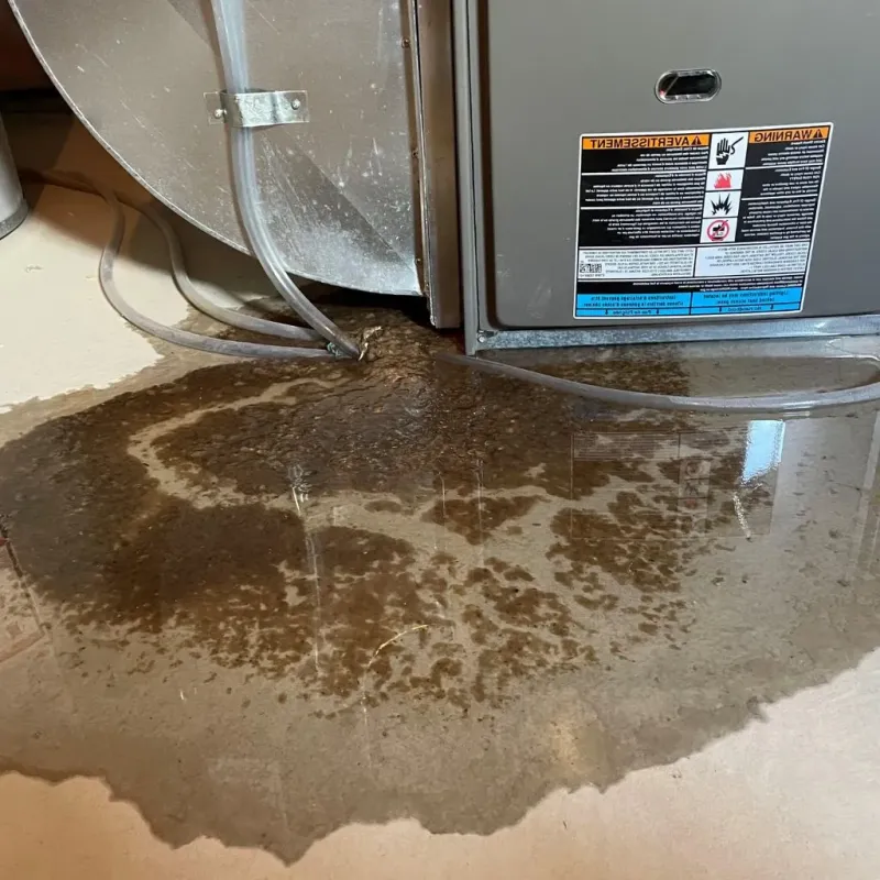 Pipe Burst and Leak Restoration in Back Mountain, PA